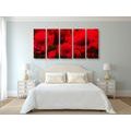 5-PIECE CANVAS PRINT FIELD OF WILD POPPIES - PICTURES FLOWERS - PICTURES