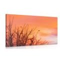 CANVAS PRINT COLORFUL SKY - PICTURES OF NATURE AND LANDSCAPE - PICTURES