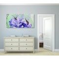 CANVAS PRINT PAINTED PEONIES IN A MODERN DESIGN - PICTURES FLOWERS - PICTURES