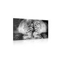 CANVAS PRINT MAGICAL TREE OF LIFE IN BLACK AND WHITE - BLACK AND WHITE PICTURES - PICTURES