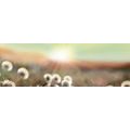 TABLEAU SUR TOILE – PANORAMA DE PRAIRIE FLEURIE - TABLEAUX DE LA NATURE ET DES PAYSAGES - TABLEAUX