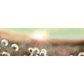 CANVAS PRINT PANORAMA OF A BLOOMING MEADOW - PICTURES OF NATURE AND LANDSCAPE - PICTURES