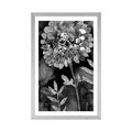 POSTER WITH MOUNT BEAUTIFUL FLOWERS IN BLACK AND WHITE - BLACK AND WHITE - POSTERS