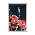 POSTER RED POPPIES ON A BLACK BACKGROUND - FLOWERS - POSTERS