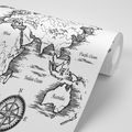 PAPIER PEINT CARTE DU MONDE DANS UN BEAU DESIGN - PAPIER PEINT AU MUR SUR LE THÈME DES CARTES - PAPIER PEINT