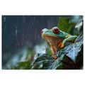 OBRAZ ŽÁBA V DEŠTI NA LISTU - OBRAZY ZVÍŘAT - OBRAZY