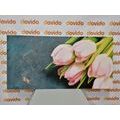 TABLEAU SUR TOILE – TULIPES ROSE PASTEL - TABLEAUX DE FLEURS - TABLEAUX