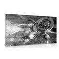 CANVAS PRINT DREAM CATCHER IN BLACK AND WHITE - BLACK AND WHITE PICTURES - PICTURES