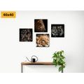 CANVAS PRINT SET WILD ANIMALS - SET OF PICTURES - PICTURES