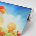 SELF ADHESIVE WALLPAPER POPPIES ON THE MEADOW - SELF-ADHESIVE WALLPAPERS - WALLPAPERS