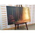 CANVAS PRINT PATH IN THE FOREST - PICTURES OF NATURE AND LANDSCAPE - PICTURES