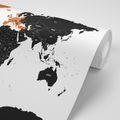 CARTA DA PARATI – MAPPA MODERNA CON CONTRASTO - CARTA DA PARATI MAPPE - CARTA DA PARATI