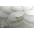 CANVAS PRINT ABSTRACT FLOWERS - ABSTRACT PICTURES - PICTURES