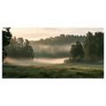CANVASTAVLA MORGONDIS MELLAN TRÄDEN - TAVLOR MED FÄLT OCH ÄNGAR - TAVLOR