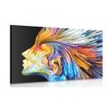 CANVAS PRINT COLORED PROFILE OF A WOMAN'S FACE - ABSTRACT PICTURES{% if product.category.pathNames[0] != product.category.name %} - PICTURES{% endif %}