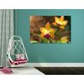 TABLEAU SUR TOILE – ORCHIDÉE ORANGE - TABLEAUX DE FLEURS - TABLEAUX