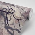 SELF ADHESIVE WALLPAPER SURREALISTIC TREES - SELF-ADHESIVE WALLPAPERS - WALLPAPERS