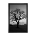 AFFICHE ARBRE ENCHANTEUR EN NOIR ET BLANC - NOIR ET BLANC - AFFICHES