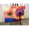 CANVAS PRINT BRIGHT DANDELION - PICTURES FLOWERS - PICTURES