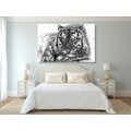 CANVAS PRINT ANIMAL PREDATOR IN BLACK AND WHITE - BLACK AND WHITE PICTURES - PICTURES