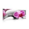 IMPRESSION SUR TOILE FLEURS D'ORCHIDÉES SUR DES PIERRES BLANCHES - IMPRESSIONS SUR TOILE FENG SHUI - IMPRESSION SUR TOILE