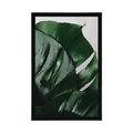 AFFICHE FEUILLES DE MONSTERA - FLEURS - AFFICHES