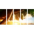 5-PIECE CANVAS PRINT SUNRISE ON A CARIBBEAN BEACH - PICTURES OF NATURE AND LANDSCAPE - PICTURES