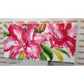 IMPRESSION SUR TOILE BELLES FLEURS - IMPRESSIONS SUR TOILE FLEURS - IMPRESSION SUR TOILE