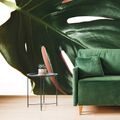 SELF ADHESIVE WALL MURAL MONSTERA LEAF - SELF-ADHESIVE WALLPAPERS - WALLPAPERS