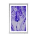 POSTER WITH MOUNT DANDELION IN PURPLE DESIGN - FLOWERS - POSTERS