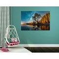 CANVAS PRINT TREE UNDER A STARRY SKY - PICTURES OF NATURE AND LANDSCAPE - PICTURES