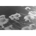 CANVAS PRINT COTTON GRASS IN BLACK AND WHITE - BLACK AND WHITE PICTURES - PICTURES