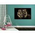 CANVAS PRINT TIGER IN SEPIA DESIGN - BLACK AND WHITE PICTURES - PICTURES