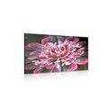 CANVAS PRINT MAGICAL PINK FLOWER - ABSTRACT PICTURES - PICTURES