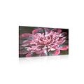 WANDBILD MAGISCHE ROSA BLUME - ABSTRAKTE BILDER - BILDER