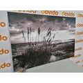 CANVAS PRINT SUNSET ON A BEACH IN BLACK AND WHITE - BLACK AND WHITE PICTURES - PICTURES