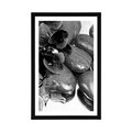 POSTER WITH MOUNT BLOOMING ORCHID AND WELLNESS STONES IN BLACK AND WHITE - BLACK AND WHITE - POSTERS
