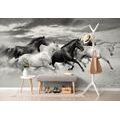 WALLPAPER BLACK AND WHITE HERD OF HORSES - BLACK AND WHITE WALLPAPERS - WALLPAPERS