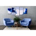 5-PIECE CANVAS PRINT ARTISTIC PAINTING OF THREE COLORS - ABSTRACT PICTURES - PICTURES