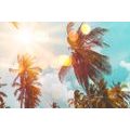 TABLEAU SUR TOILE – RAYONS DE SOLEIL ENTRE LES PALMIERS - TABLEAUX DE LA NATURE ET DES PAYSAGES - TABLEAUX
