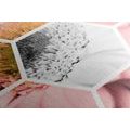 CANVAS PRINT GERBERA IN A HEXAGON - PICTURES FLOWERS - PICTURES