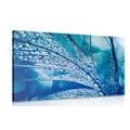 CANVAS PRINT DROPS OF MORNING DEW - STILL LIFE PICTURES{% if product.category.pathNames[0] != product.category.name %} - PICTURES{% endif %}