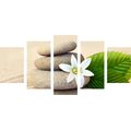5-PIECE CANVAS PRINT WHITE FLOWER AND STONES IN SAND - PICTURES FENG SHUI - PICTURES