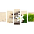 5-TEILIGES WANDBILD WEISSE BLUME UND STEINE IM SAND - BILDER MIT FENG SHUI-MOTIVEN - BILDER