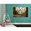 CANVAS PRINT BRIGHT MOON IN THE NIGHT SKY IN SEPIA - BLACK AND WHITE PICTURES - PICTURES