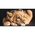 CANVAS PRINT OF A CUTE LION - PICTURES OF ANIMALS - PICTURES