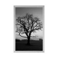 AFFICHE ARBRE ENCHANTEUR EN NOIR ET BLANC - NOIR ET BLANC - AFFICHES