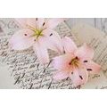 SELF ADHESIVE WALL MURAL LILY ON AN ELEGANT LEAF - SELF-ADHESIVE WALLPAPERS - WALLPAPERS