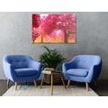 CANVAS PRINT ENCHANTING BLOOMING CHERRY TREES - PICTURES OF NATURE AND LANDSCAPE - PICTURES