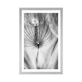 POSTER WITH MOUNT DANDELION IN BLACK AND WHITE - BLACK AND WHITE - POSTERS